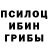 Галлюциногенные грибы мицелий Valts Vitols
