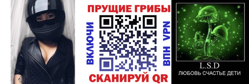 кракен рабочий сайт  Приозерск  Псилоцибиновые грибы Magic Shrooms 